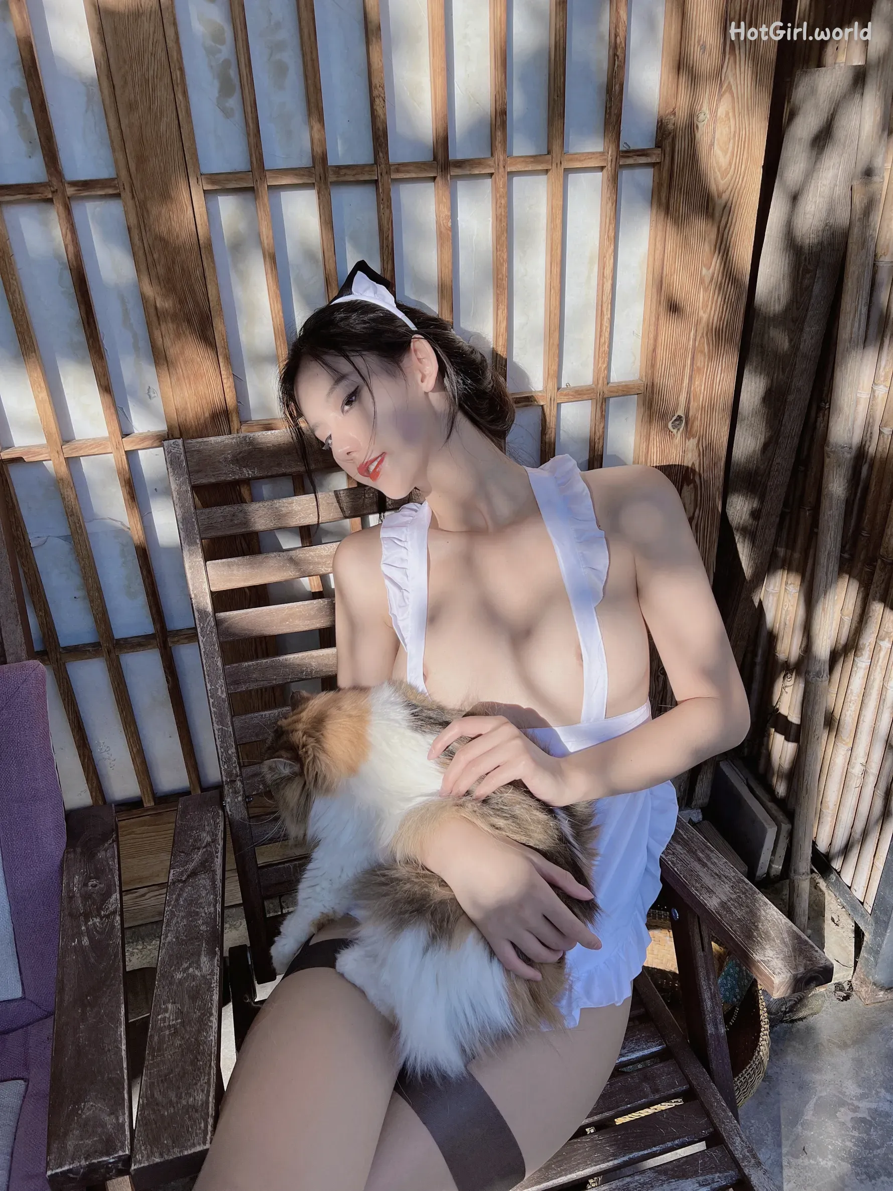 Jiu Shi A Zhu A (就是阿朱啊) - 女仆与猫 第1张图