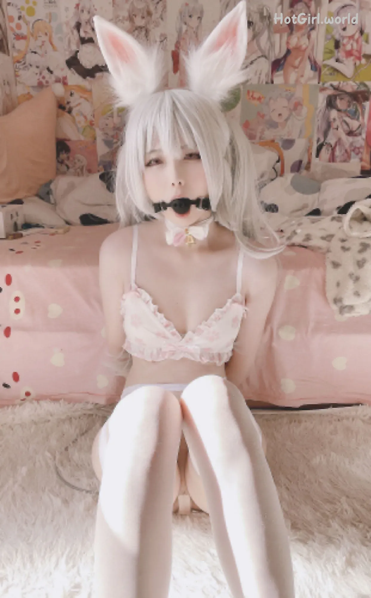Coser@习呆呆 - 工口兔口塞跳蛋 第2张图