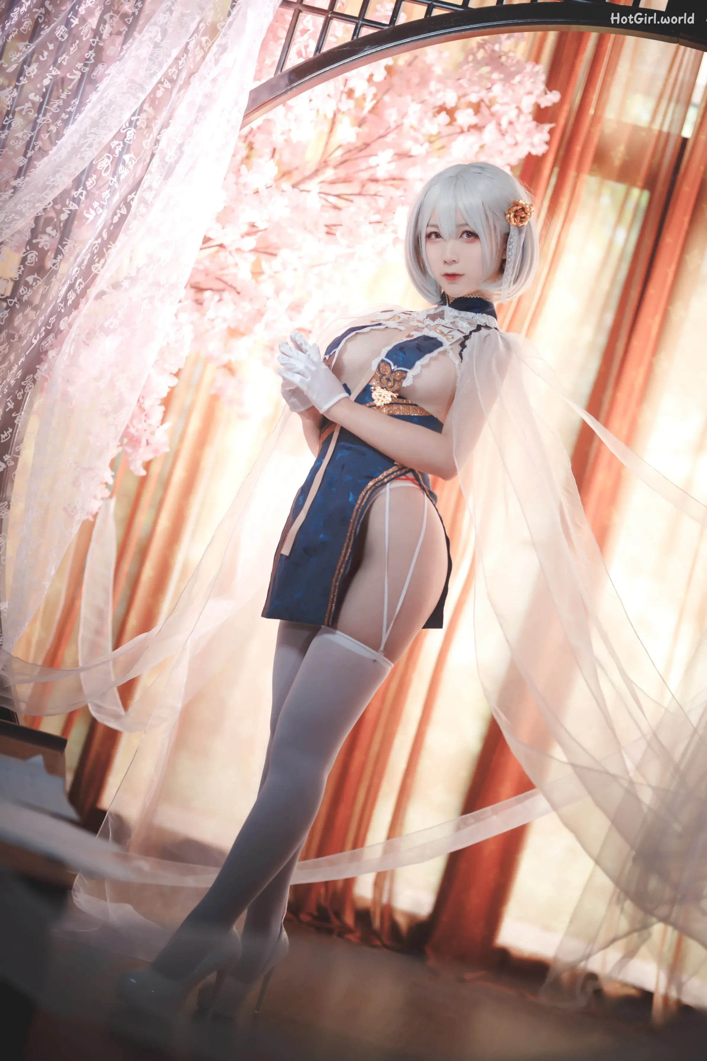 Coser-樱落酱w-旗袍天狼星 第1张图
