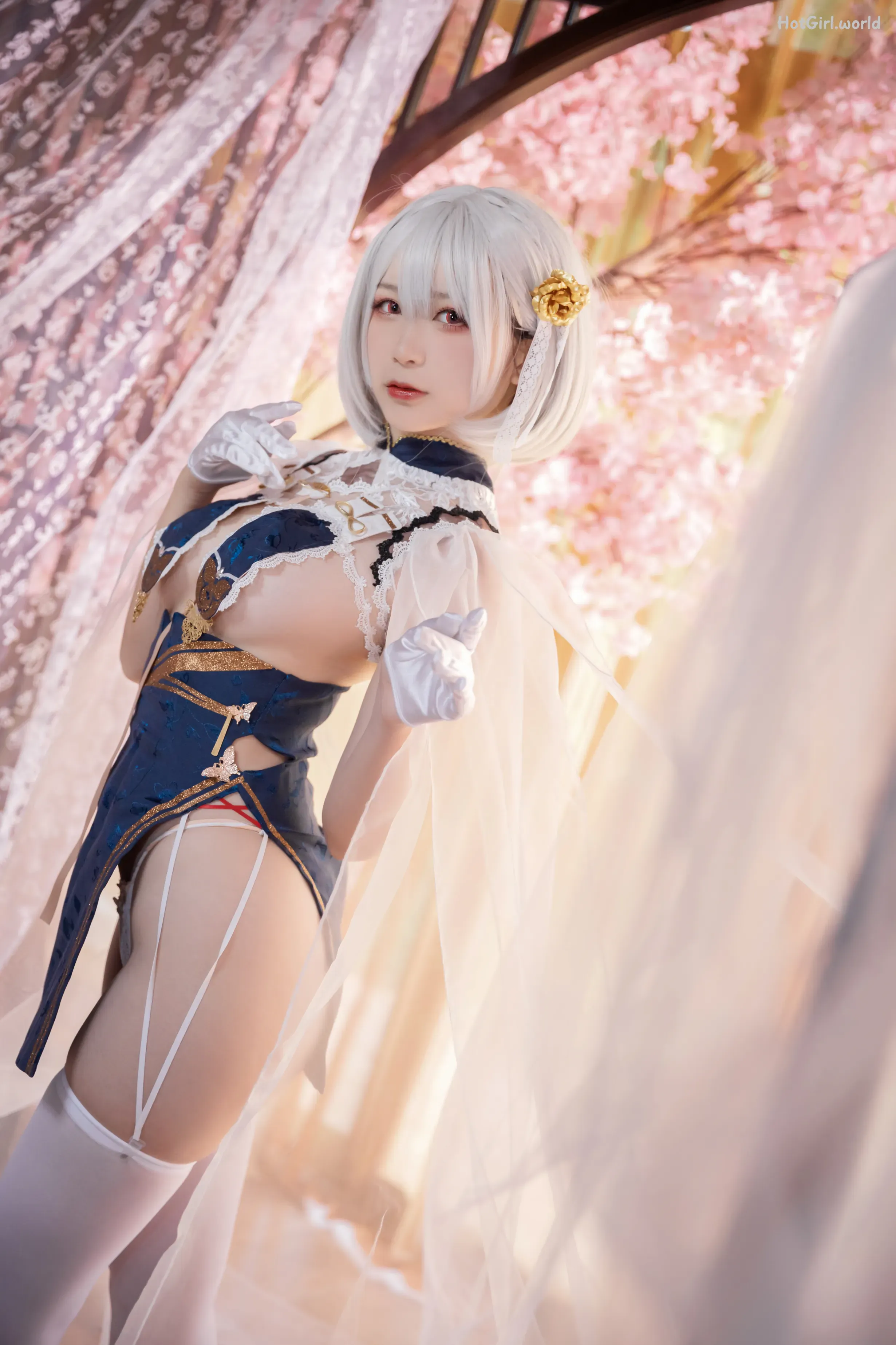 Coser-樱落酱w-旗袍天狼星 第15张图