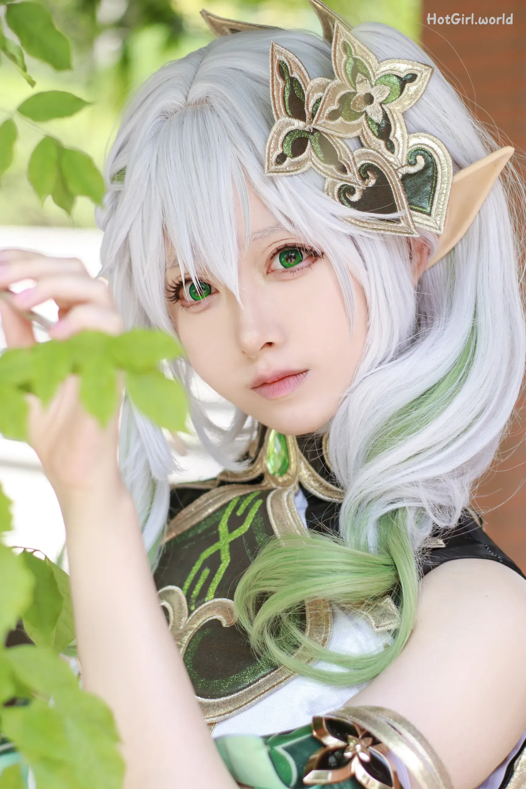 Coser-Asagiriai-愛ちゃん-纳西妲 第2张图