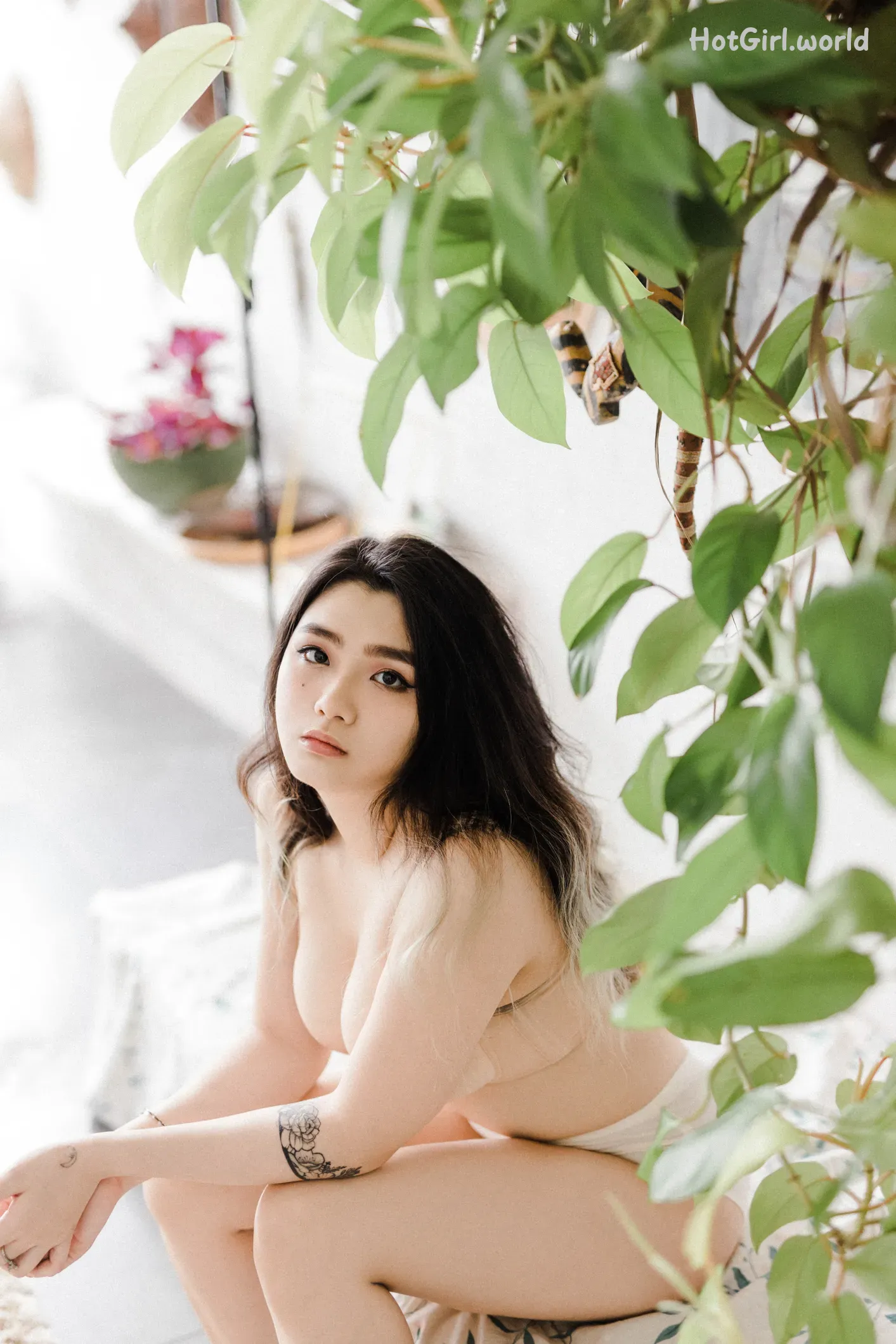 DCP snaps-Jaszlyn-Vol.01 第5张图
