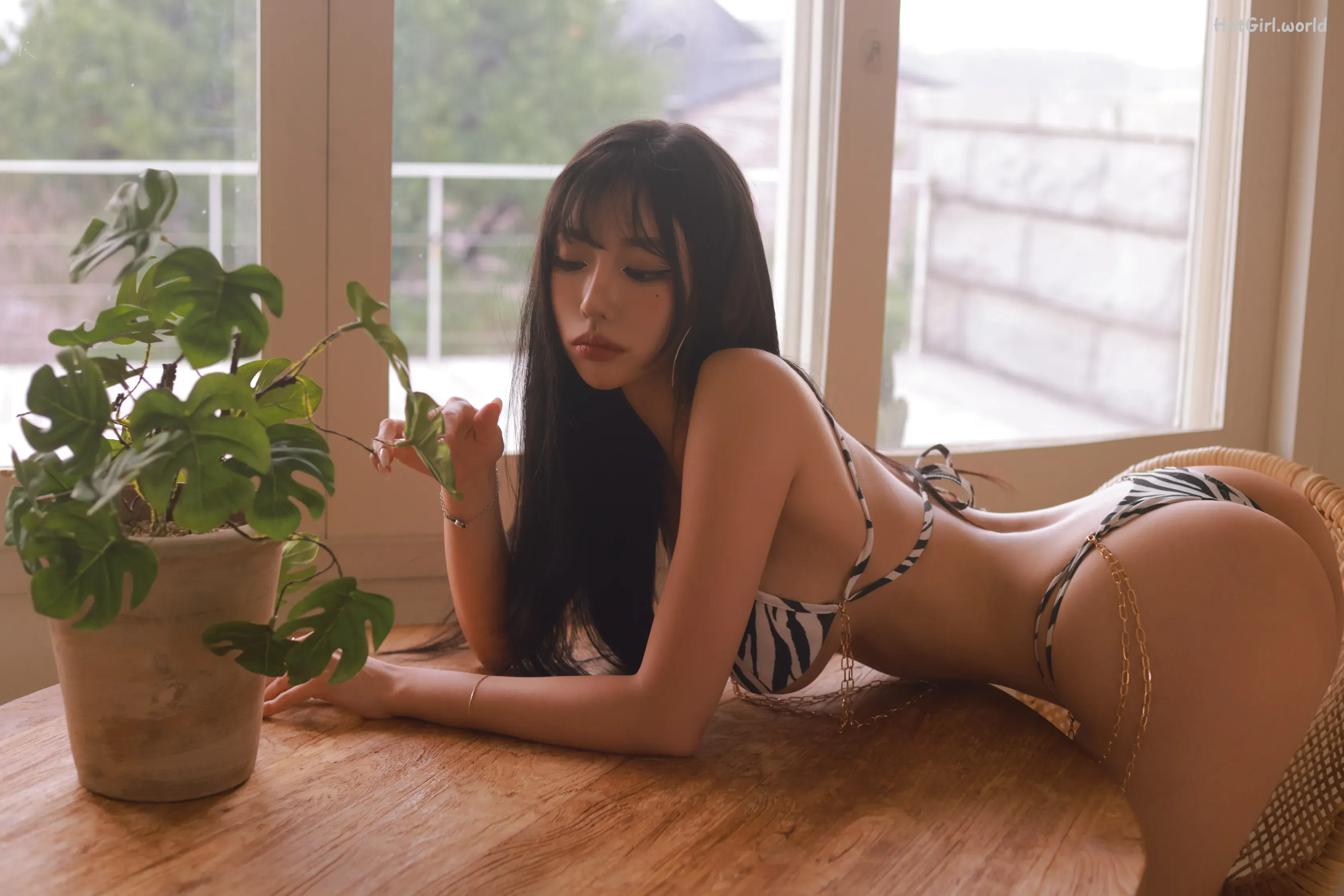 Dongeuran-동그란-ZEBRA 第57张图