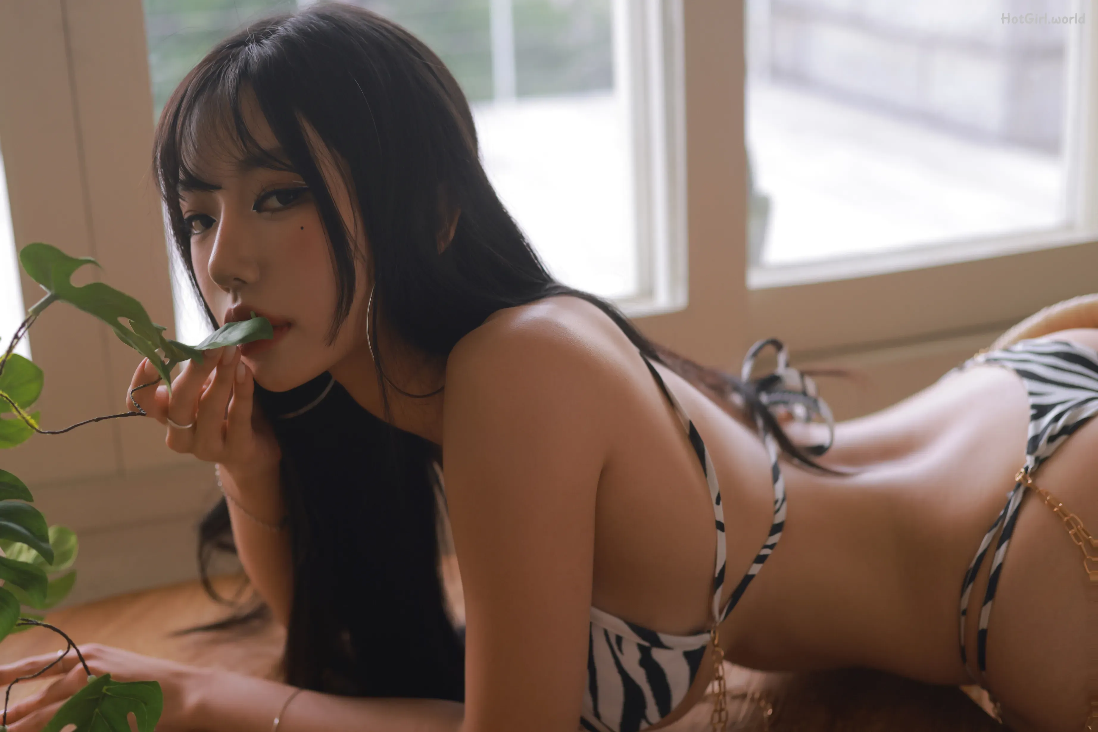 Dongeuran-동그란-ZEBRA 第59张图