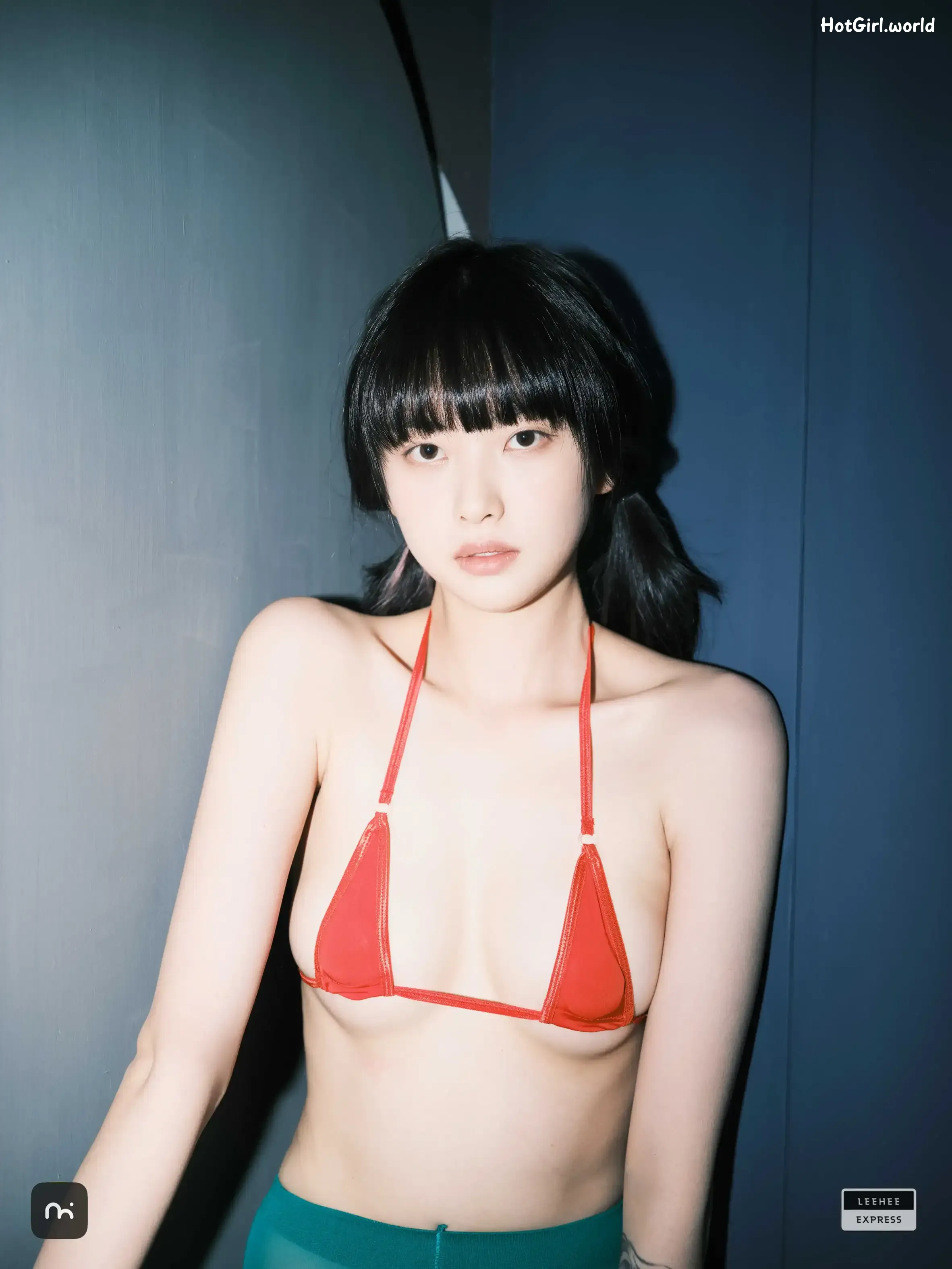 LE-LEDG-195C-GMS 第41张图