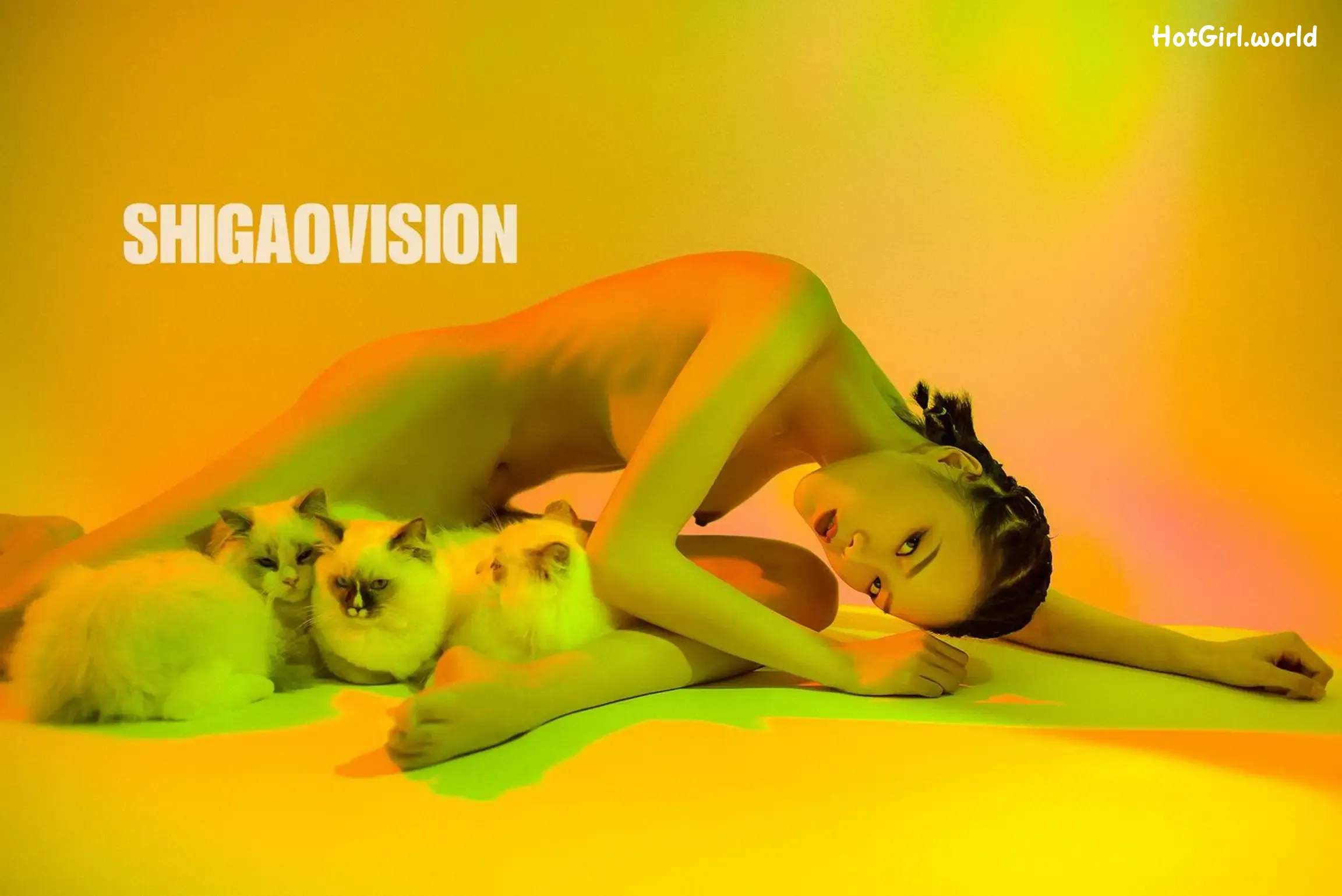 SHIGAOVISION-Photography-Vol.001-作品合集 第42张图