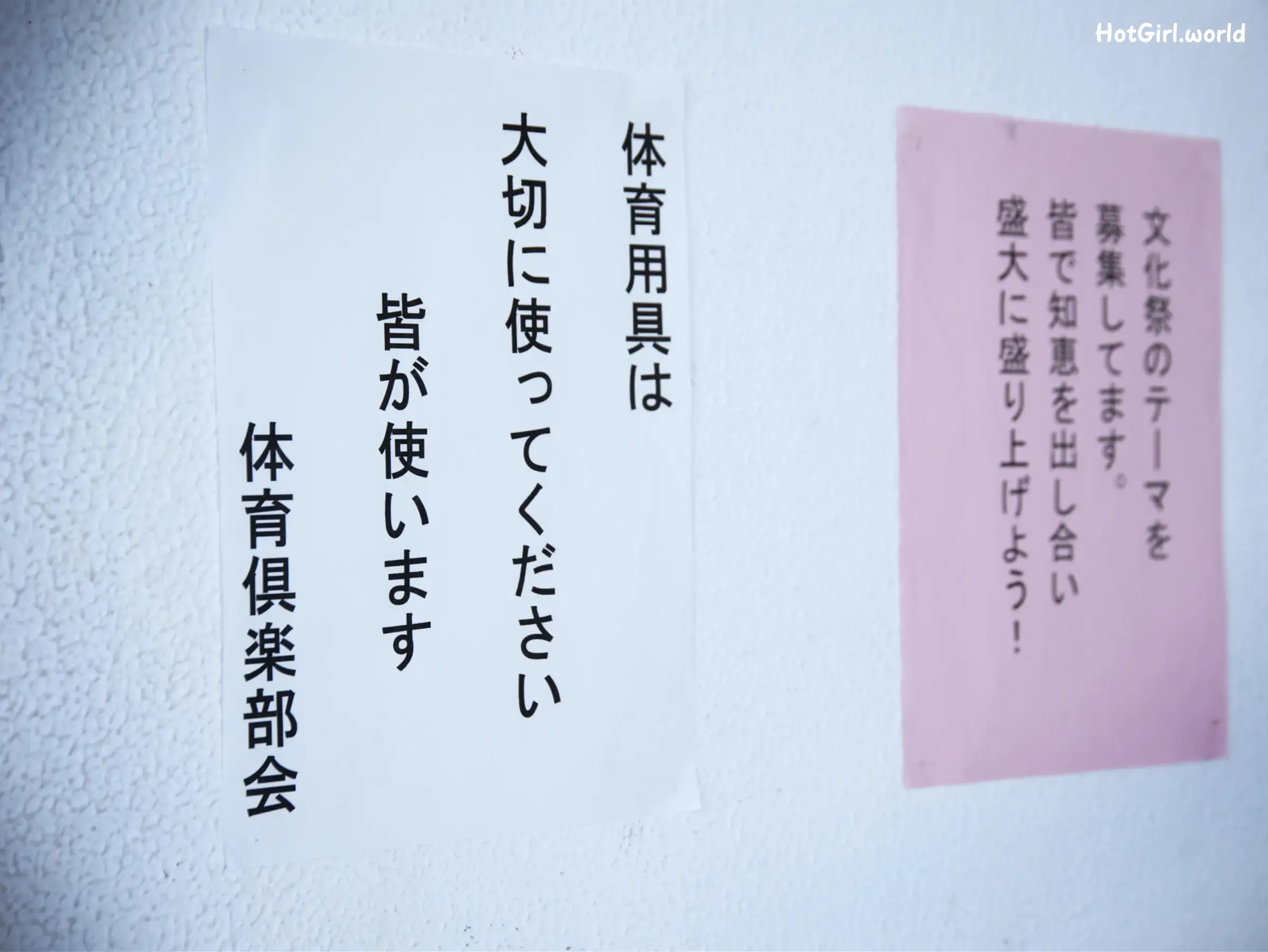 JP-Chiharu Sakurai-桜井千春-青春＃アオハル 第19张图