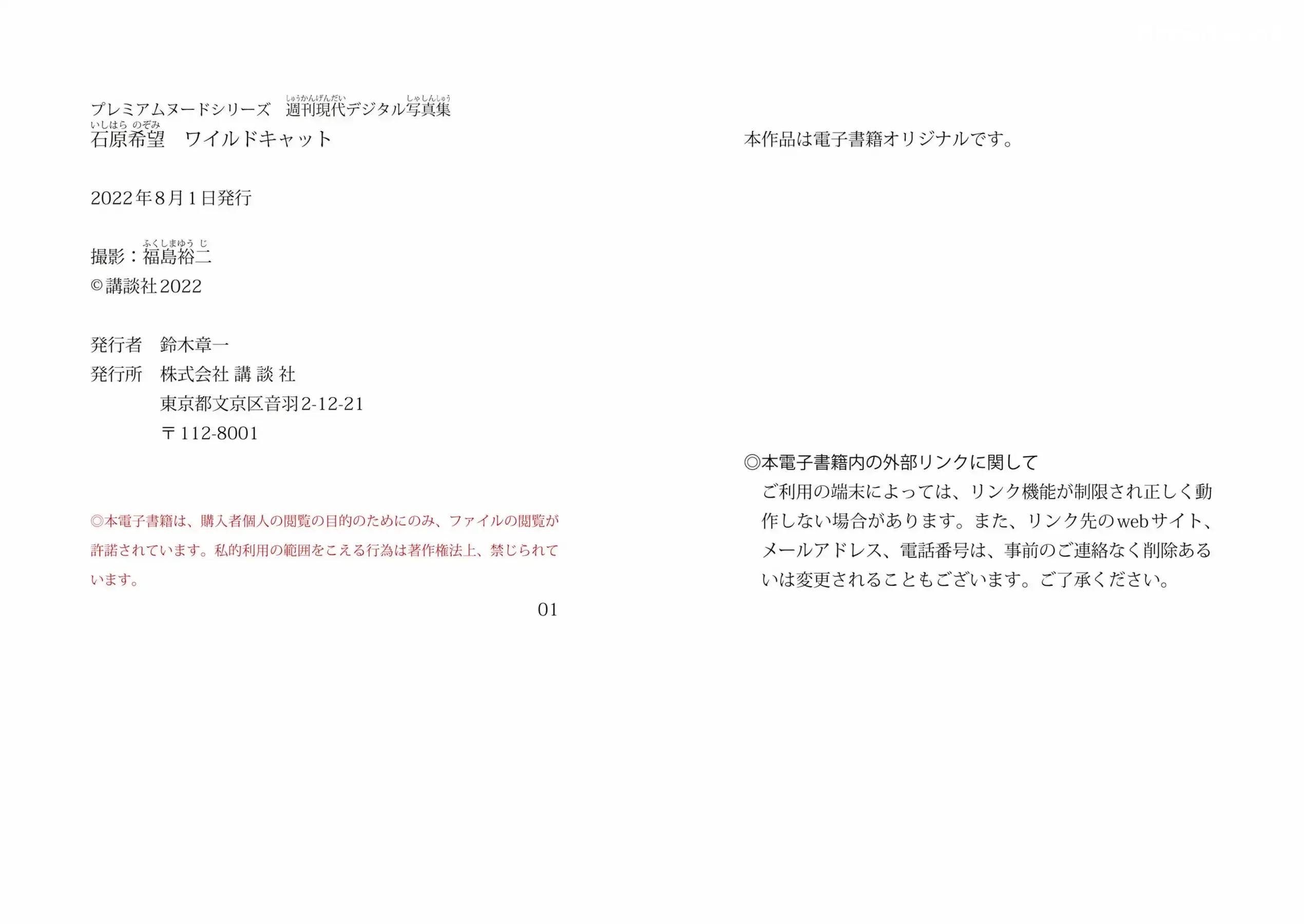 JP-Ishihara Nozomi-石原希望-ワイルドキャット 第45张图