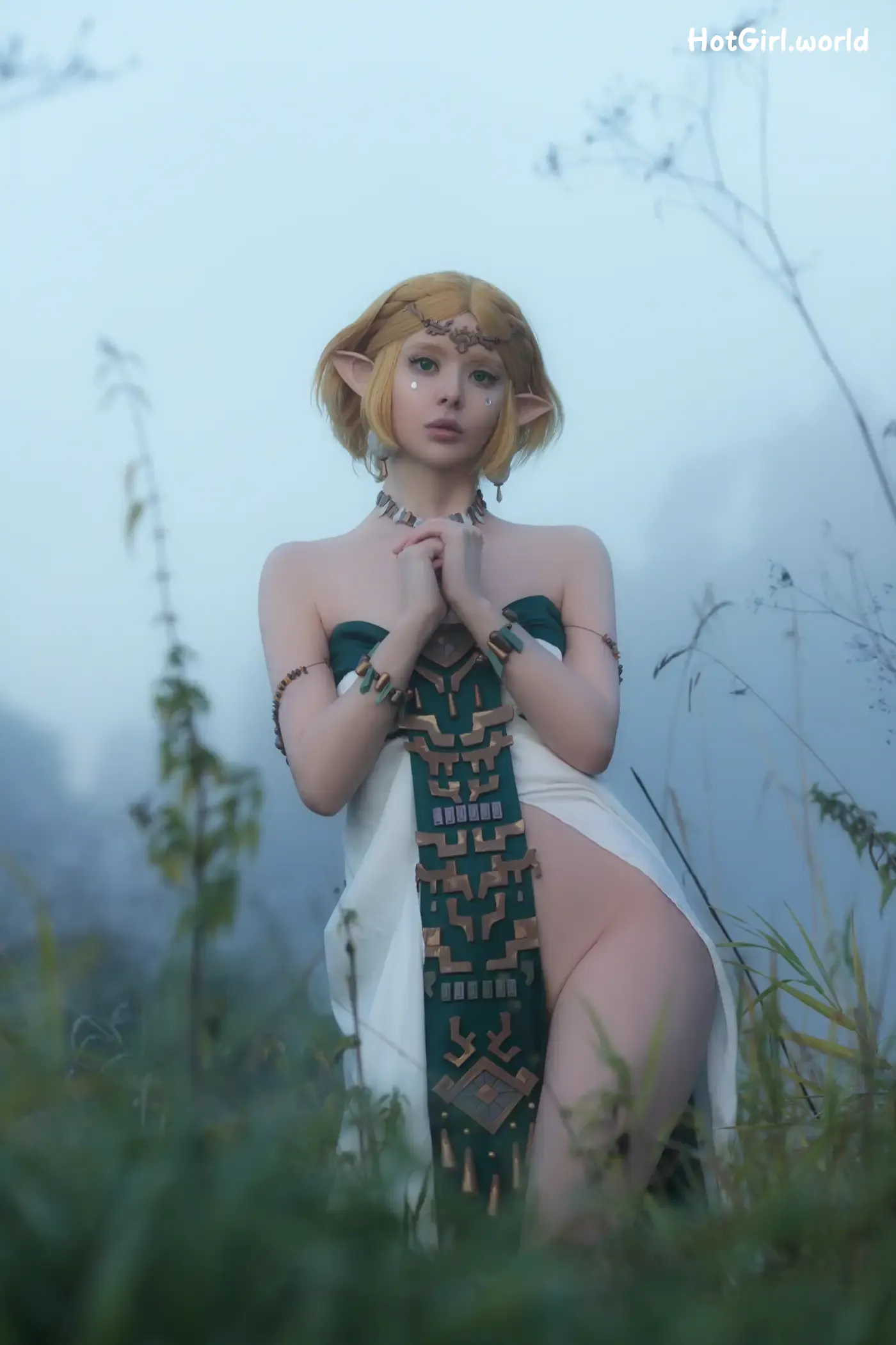 Coser-Vinnegal-Zelda 第4张图