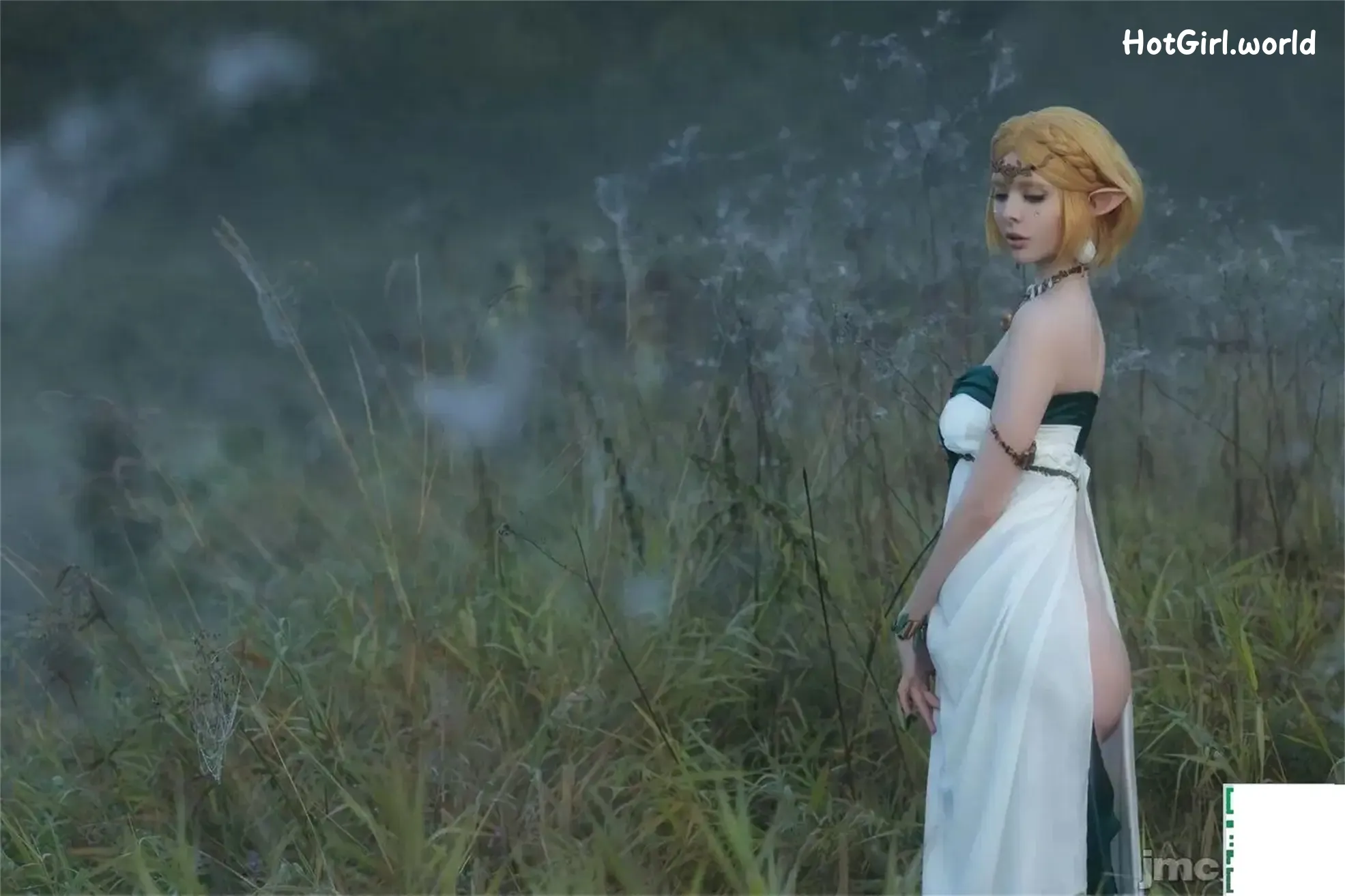 Coser-Vinnegal-Zelda-20250602 第9张图