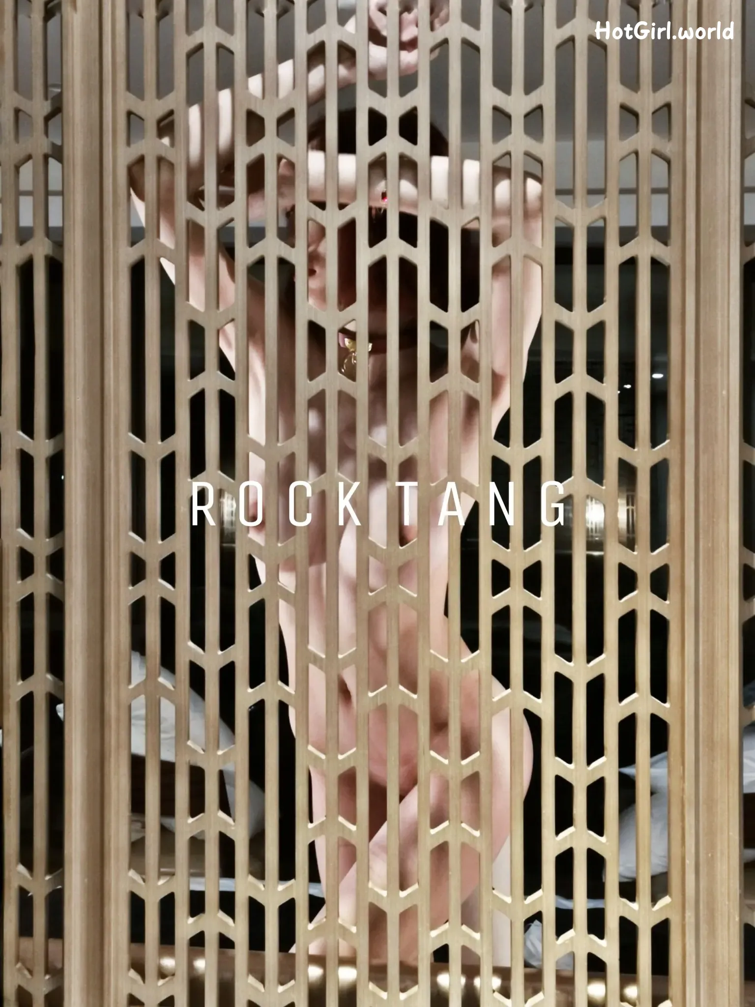 RockTangg-X白虎福利姬-夜行露出-车厢调教 第49张图