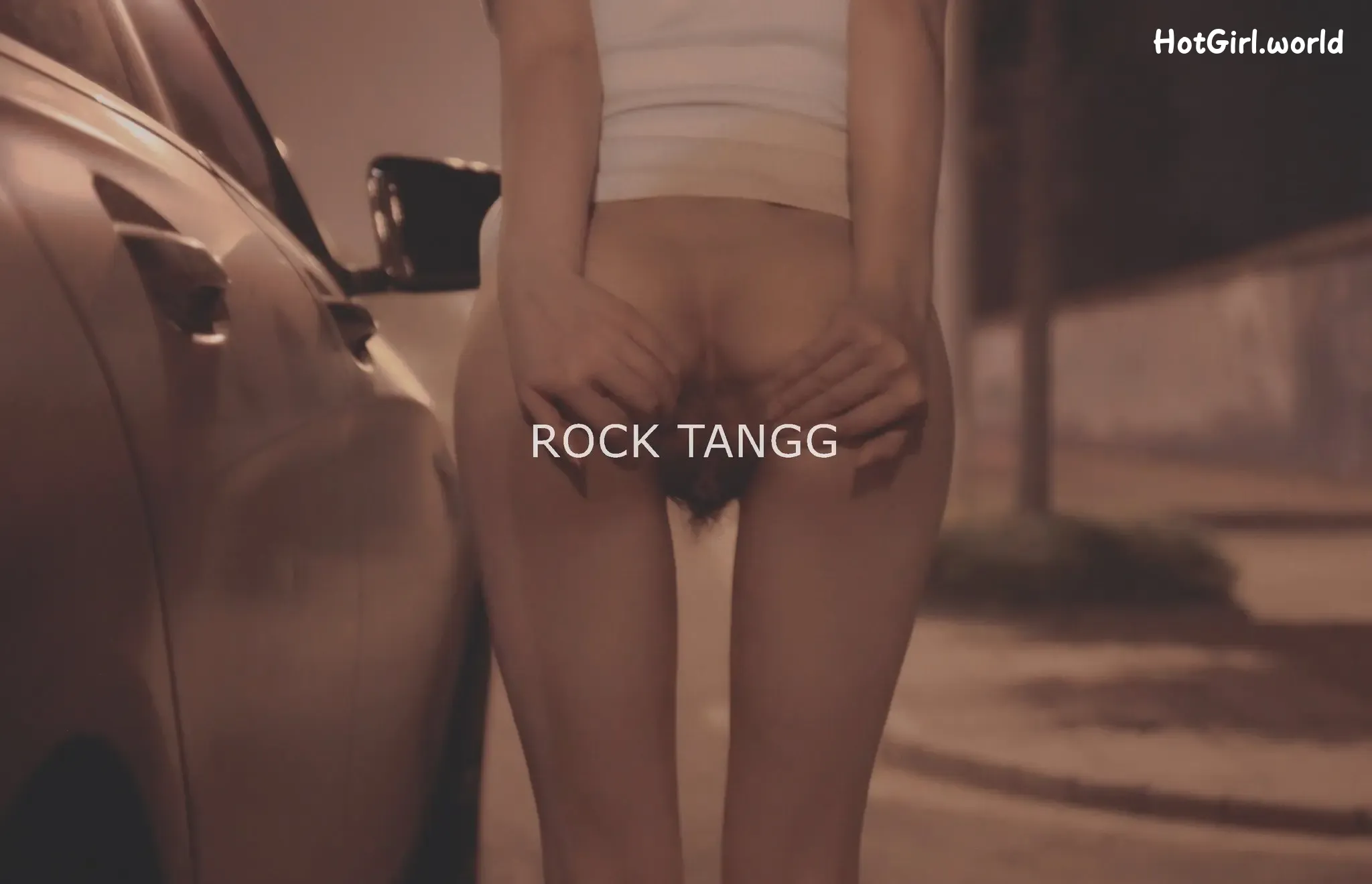RockTangg-X白虎福利姬-夜行露出-车厢调教 第70张图