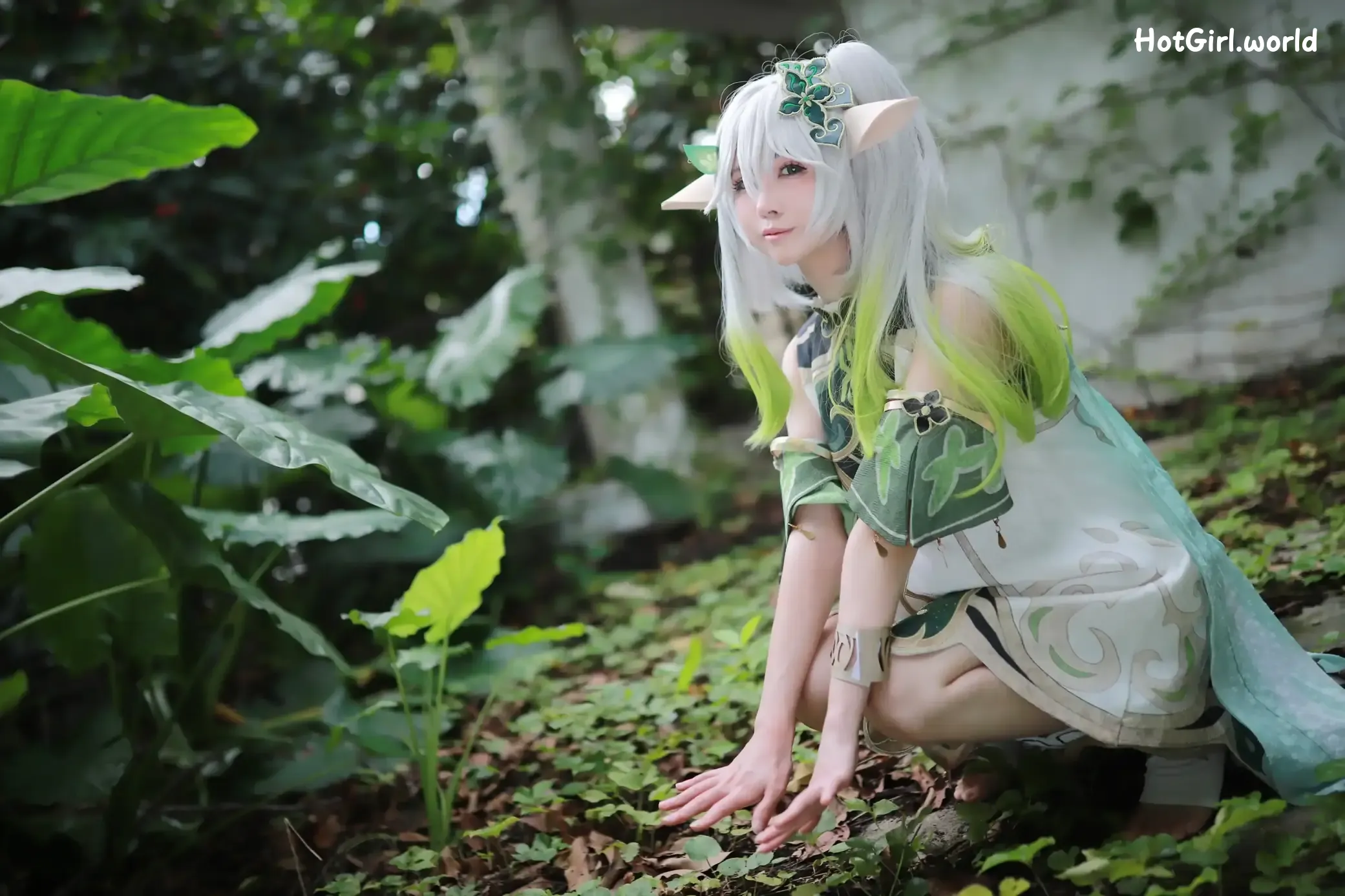 Coser-上杉绘梨落-纳西妲 第27张图