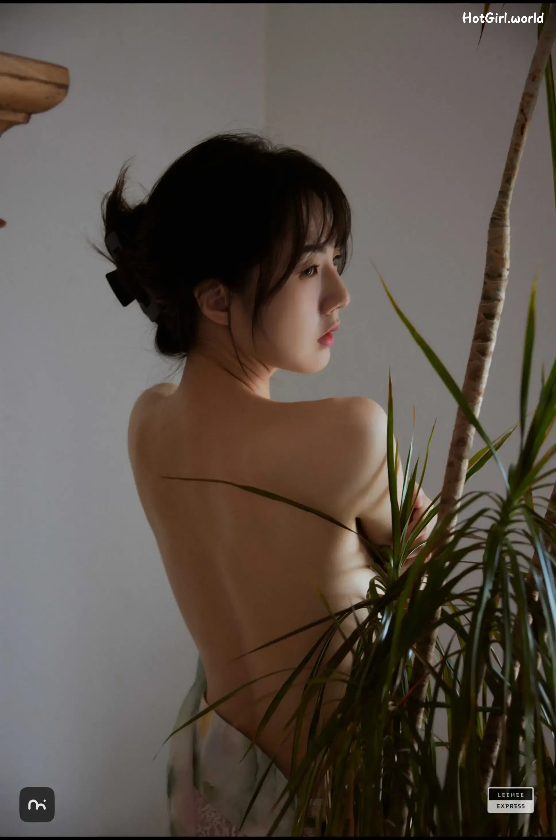 LE-LERB-229-Ray 第43张图