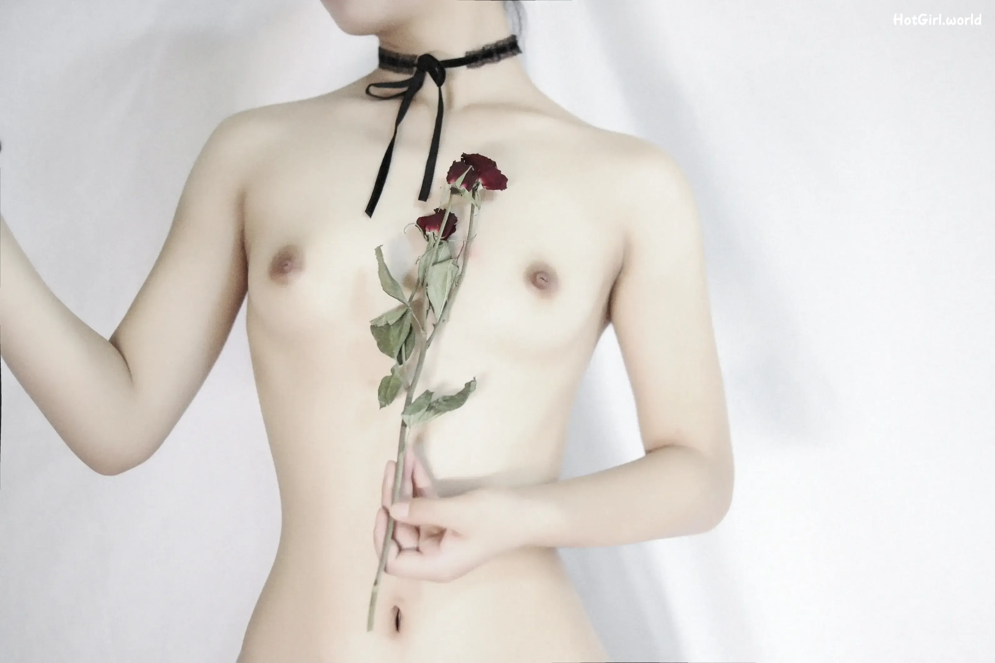 Coser-洛美-OL与花（3 videos） 第8张图