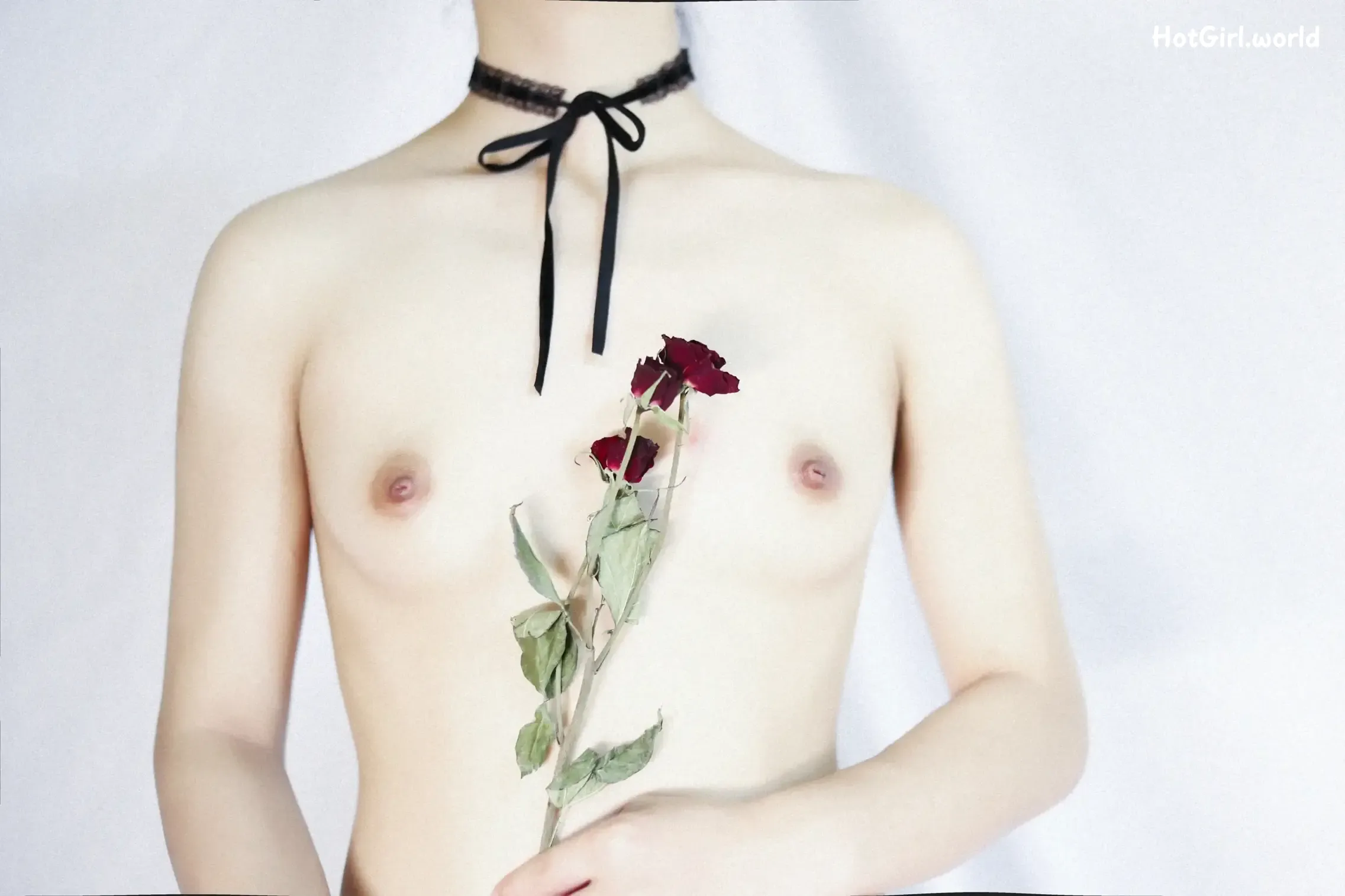 Coser-洛美-OL与花（3 videos） 第9张图