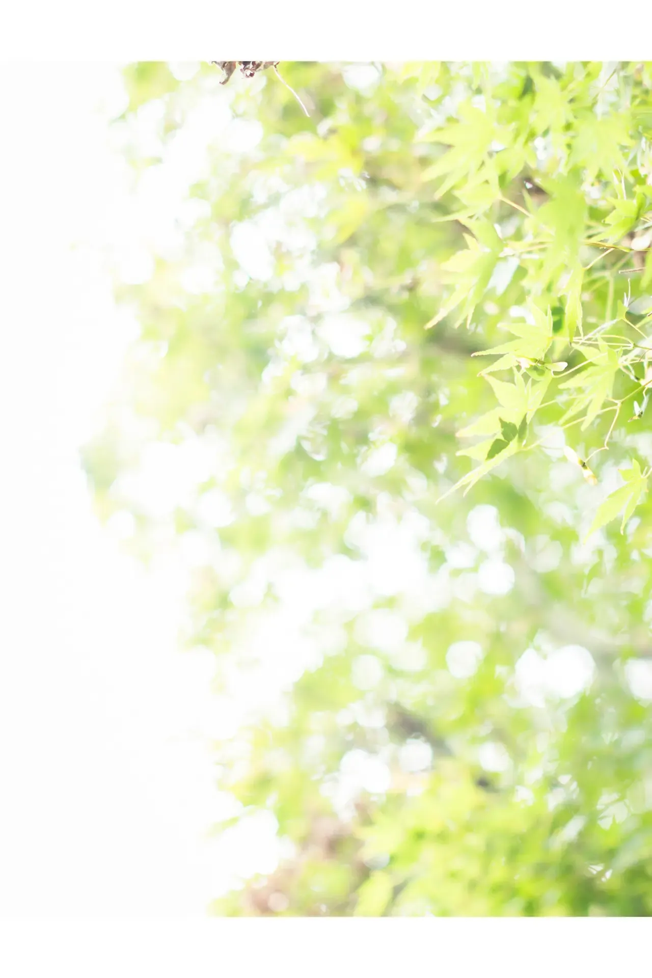 JP-Hikari Kisaki-妃ひかり-オープンシャワー写真集-光りが射す方へ 第65张图