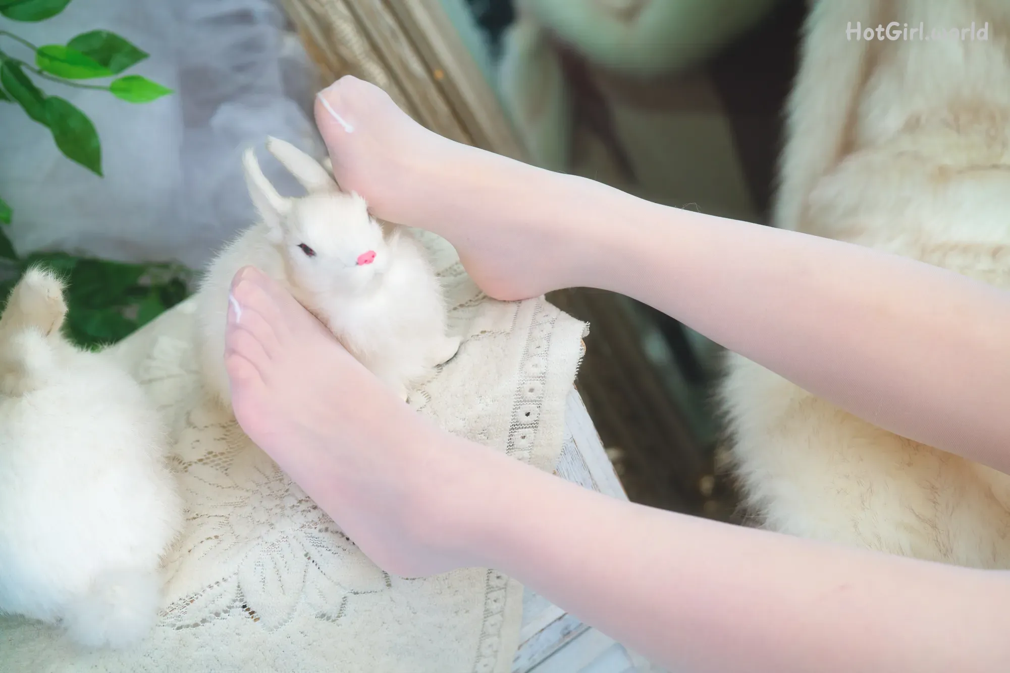 Coser-杪夏-花与少女 第5张图