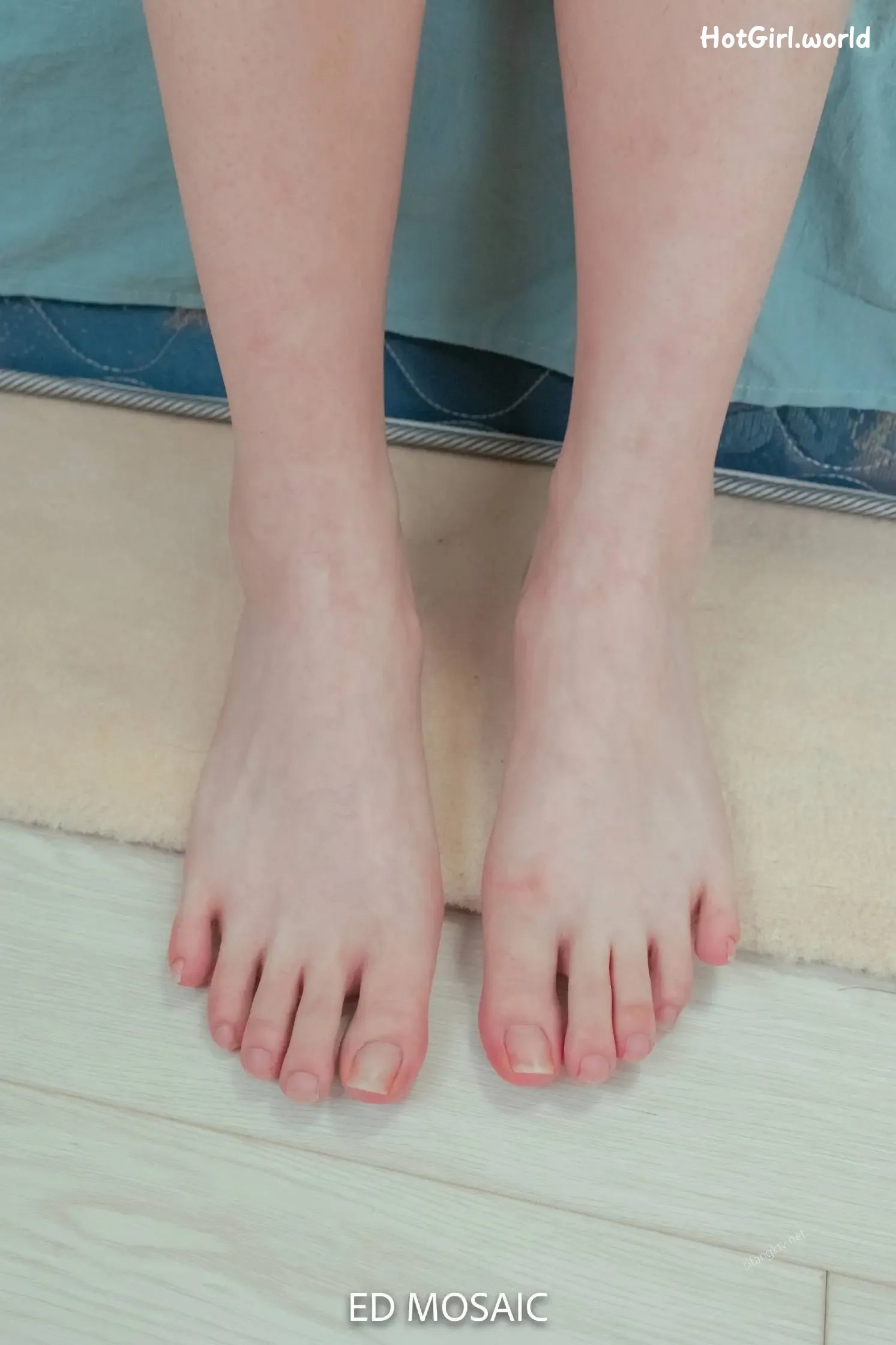 ED-Mosaic-情色摄影师-女神的美腿玉足 第94张图