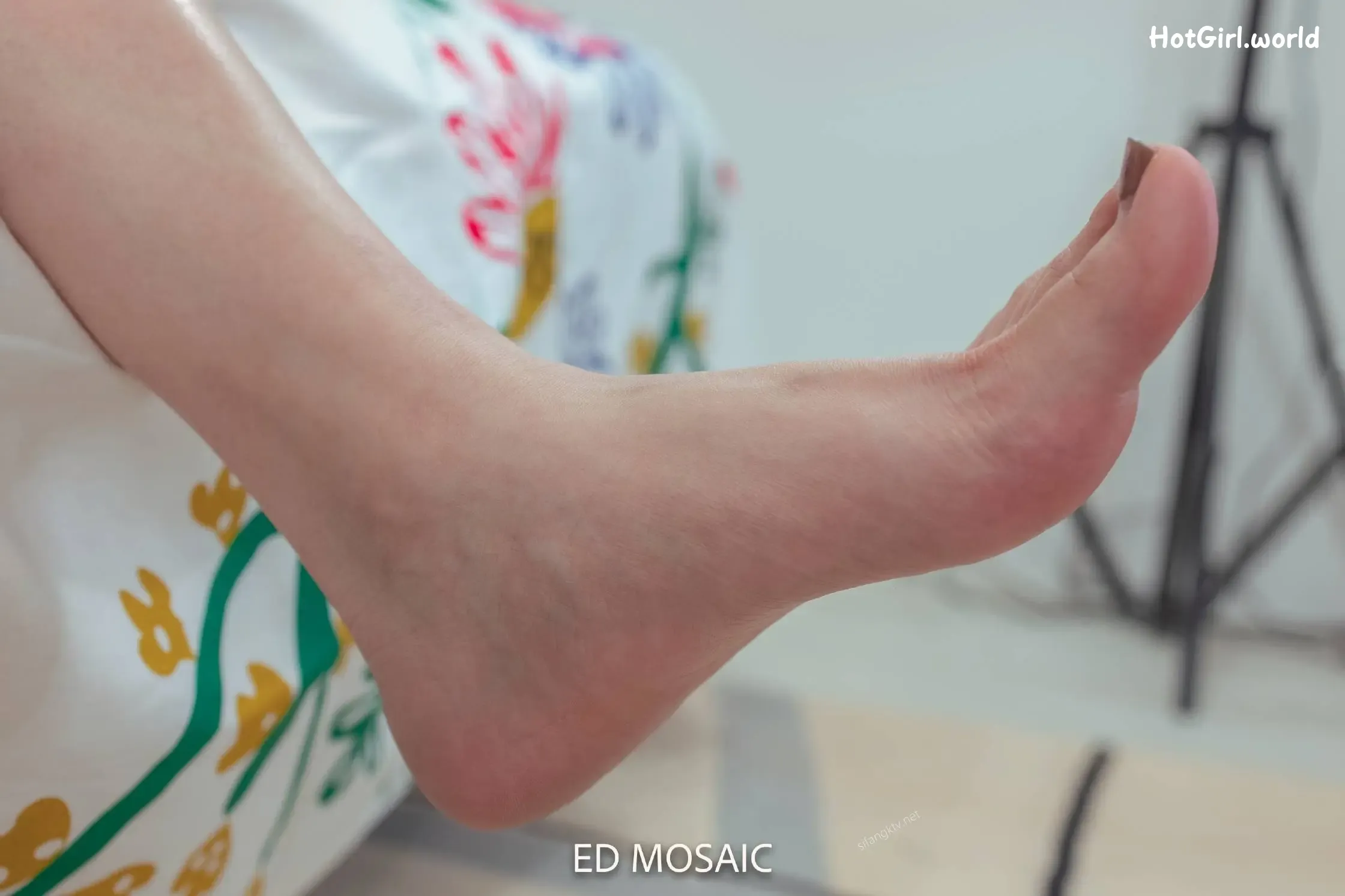 ED-Mosaic-情色摄影师-女神的美腿玉足 第245张图