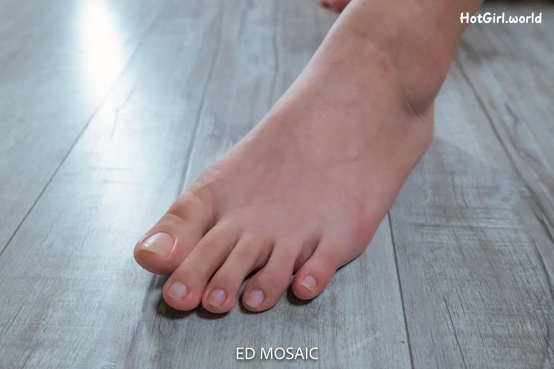 ED-Mosaic-情色摄影师-女神的美腿玉足 第328张图